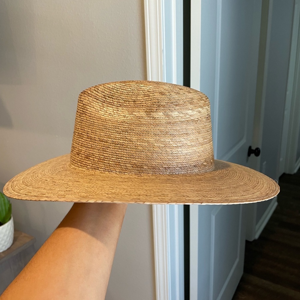 Palma fedora - Picture 4 of 6